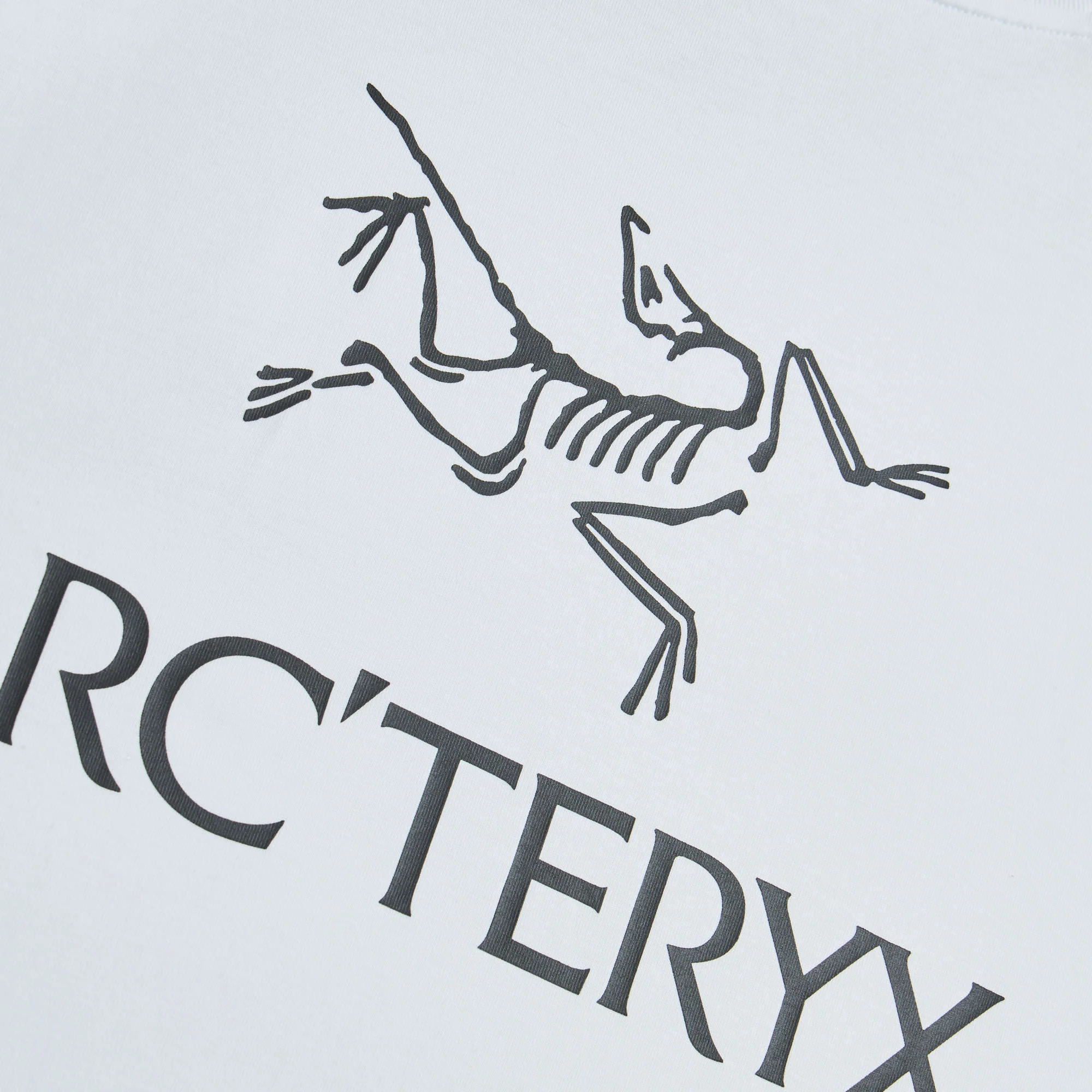 Arc'teryx Kragg SL Bird Word T-Shirt White Light / Black - Image 4