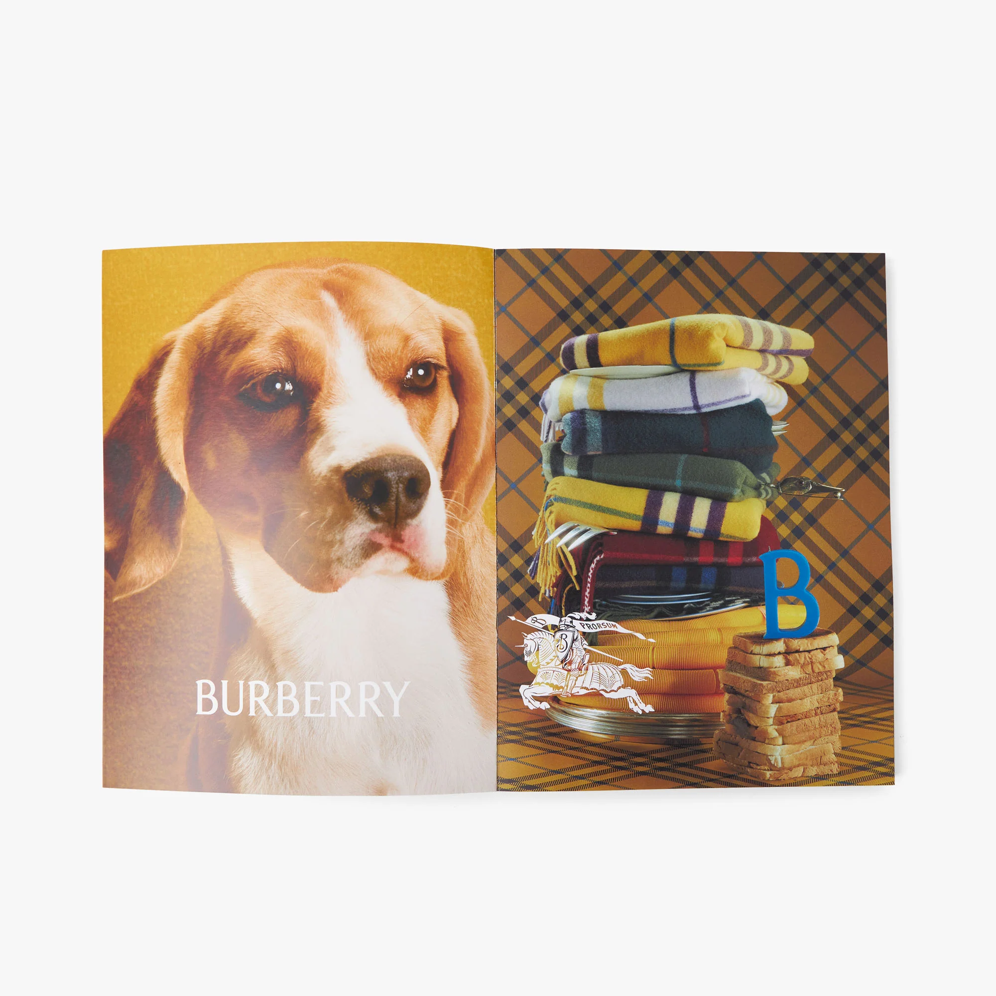 Bully Magazine Issue Two / Terell Cover - Image 5