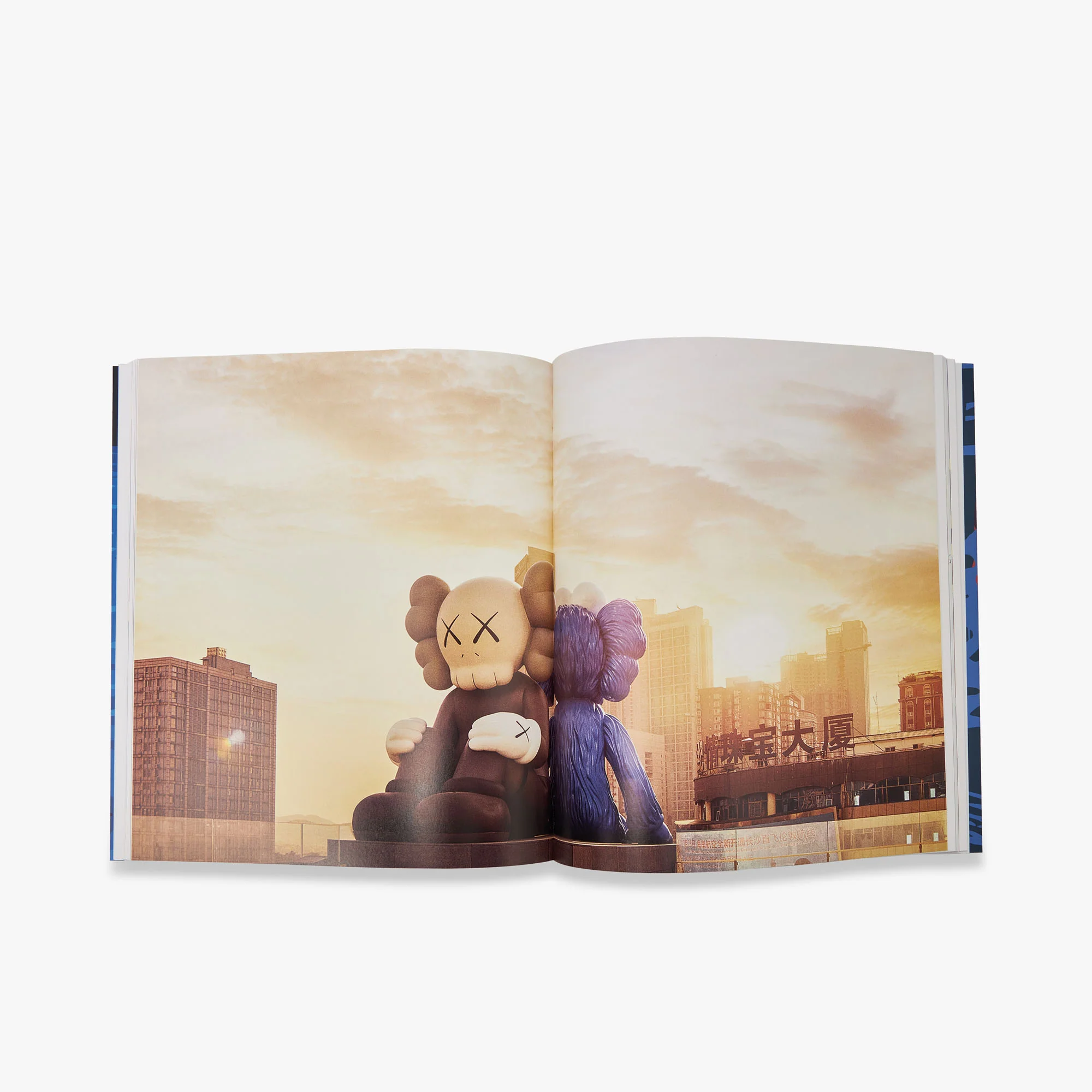 KAWS (Phaidon Contemporary Artists Series) - Image 5