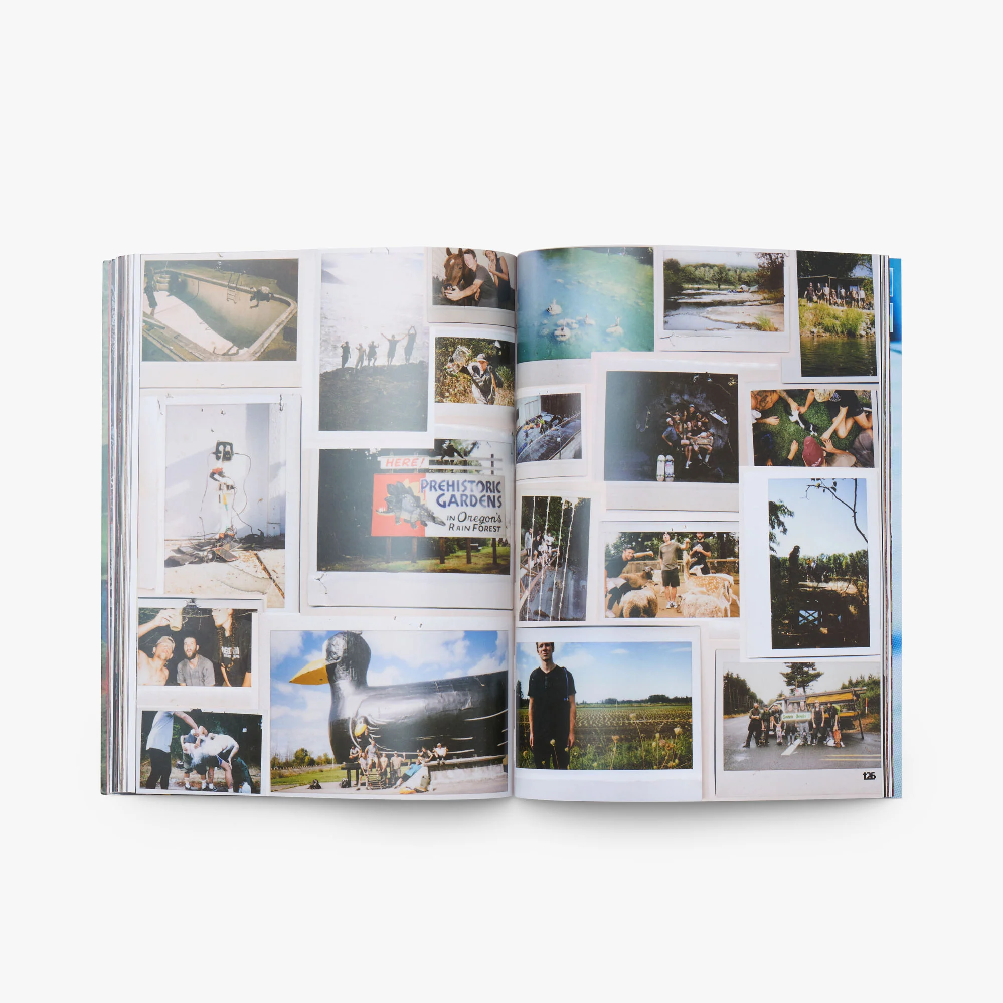 Lilypad Issue #6 - Image 5
