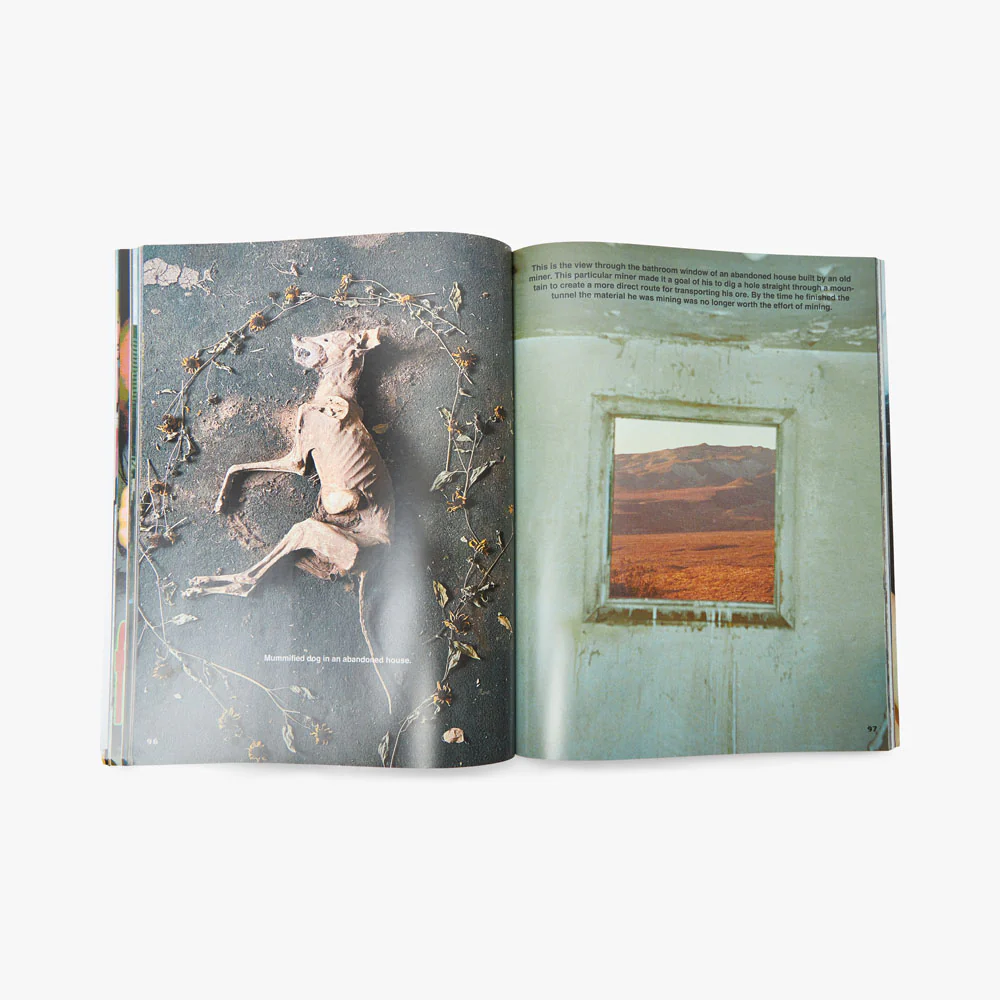 Lilypad Magazine /  Issue 3 - Image 6