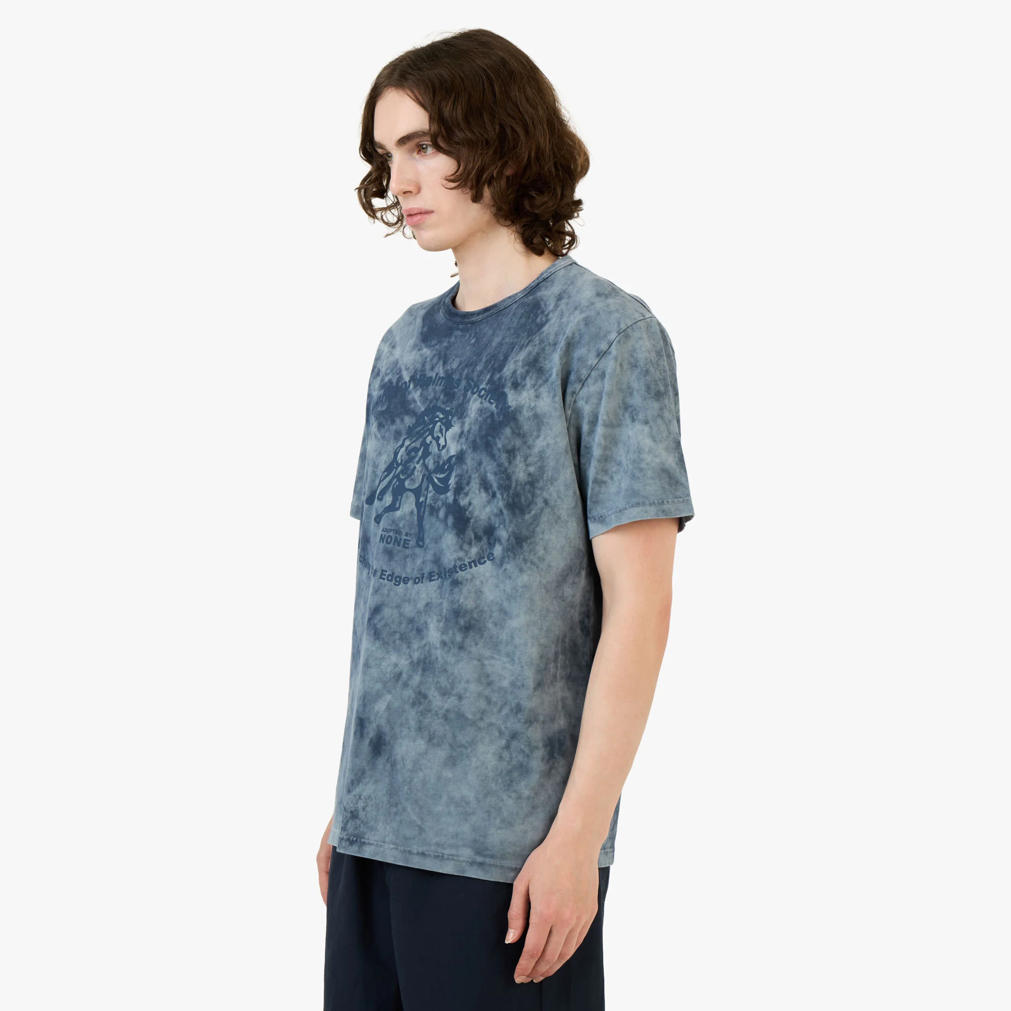 Palmes Lake T-Shirt / Navy - Image 2